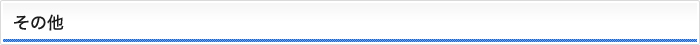 その他